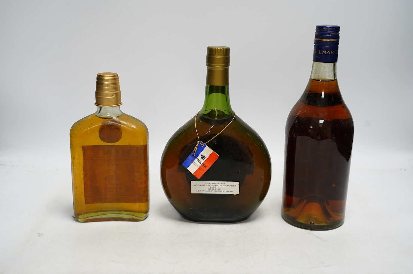 Twelve various bottles of alcohol including a bottle of Trianon 1974 Armagnac, a bottle of Martell three star cognac etc. Condition - storage unknown